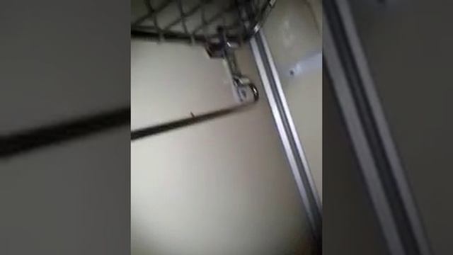 Ужасно....Тараканы!!! смотреть онлайн