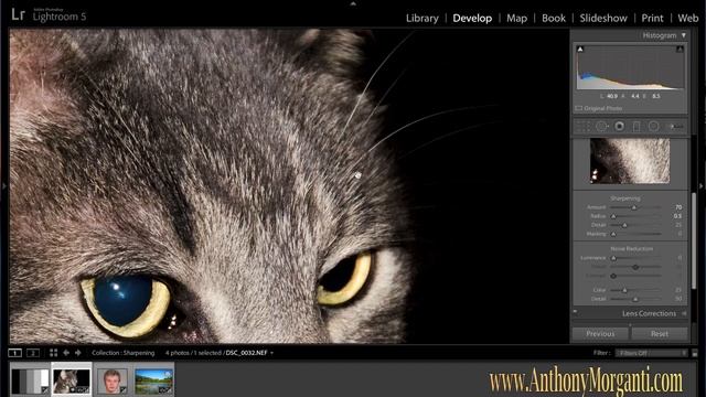Learn Lightroom 5 - Part 5: Sharpening & Noise Reduction (Training Tutorial) смотреть онлайн