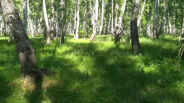 ПОЕЗДКА ЗА ЯГОДАМИ ! ВЗЯЛ МЕТАЛЛОИСКАТЕЛЬ ! ЖАРА +30 ! смотреть онлайн