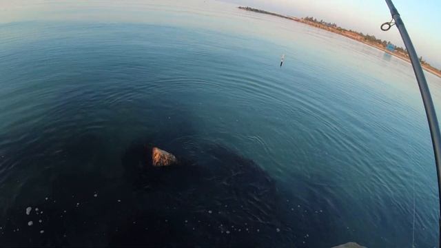 Ловля бычка с берега. Запорожская область. Приморск. ОК Мотор. смотреть онлайн