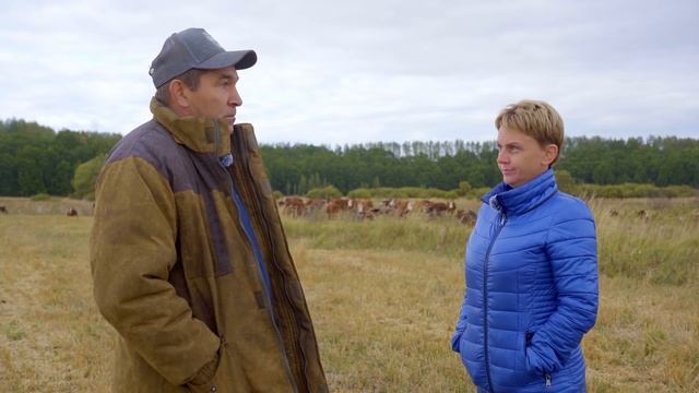 Содержание коров в зимний период | Мясное животноводство смотреть онлайн