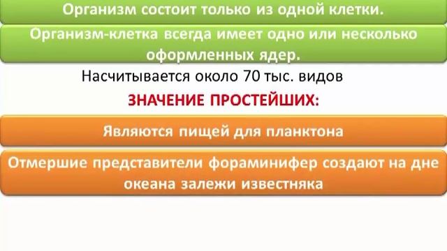 Животные | Биология 5 класс #12 | Инфоурок смотреть онлайн