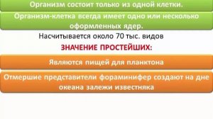 Животные | Биология 5 класс #12 | Инфоурок