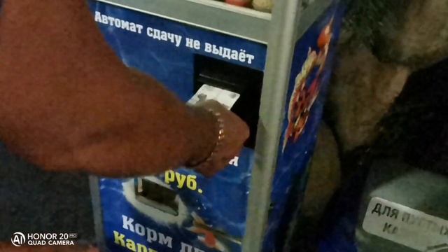 Адлер. Океанариум.