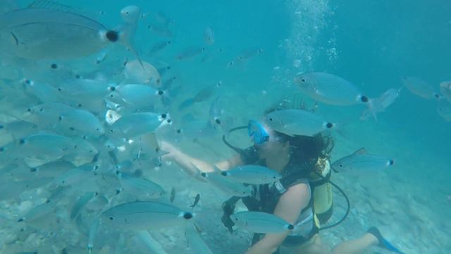 Diving in Kemer place смотреть онлайн