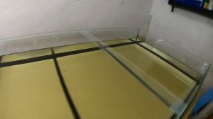 Заливаем большой аквариум из стекла 4мм