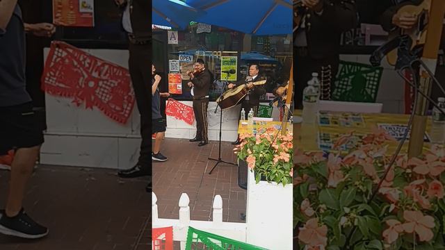 Mexican take over new Kirk plaza.. great music . amazing смотреть онлайн