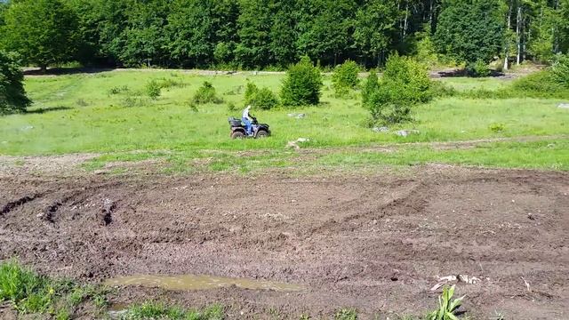 Linhai 500 Rasto V Blate