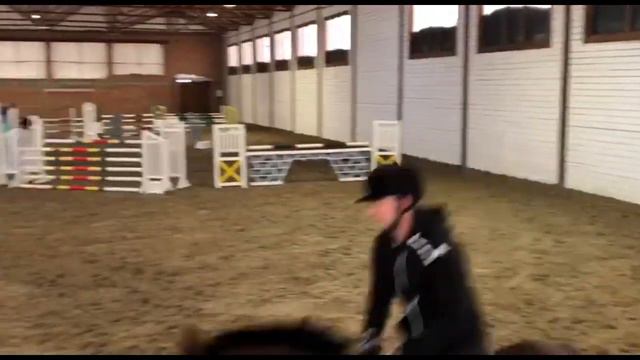 ПРОДАЕТСЯ КОНКУРНЫЙ ЖЕРЕБЕЦ!!!!!!!! смотреть онлайн