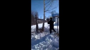 Пилим наклонившееся дерево с оттяжкой..