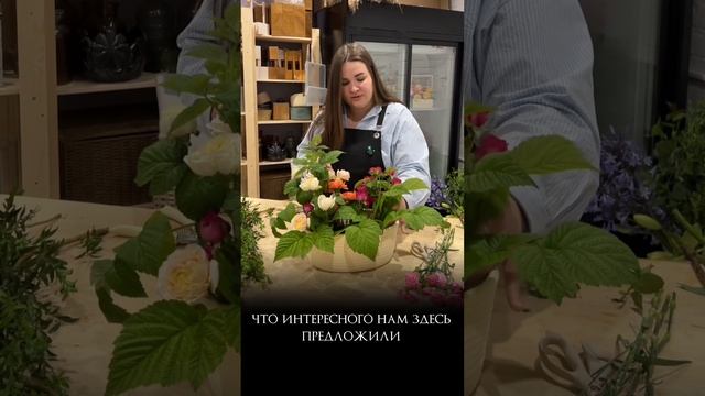 Композиция в корзине с кустовыми розами, гвоздикой и альстрамерией смотреть онлайн