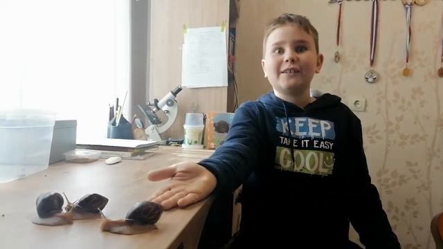 сепия, сбежавшие улитки и много др. смотреть онлайн