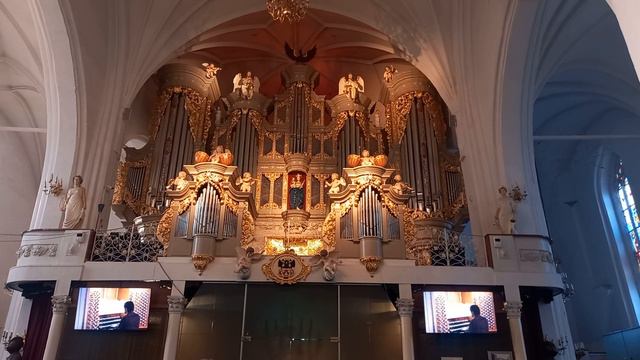 Самый большой орган в России смотреть онлайн