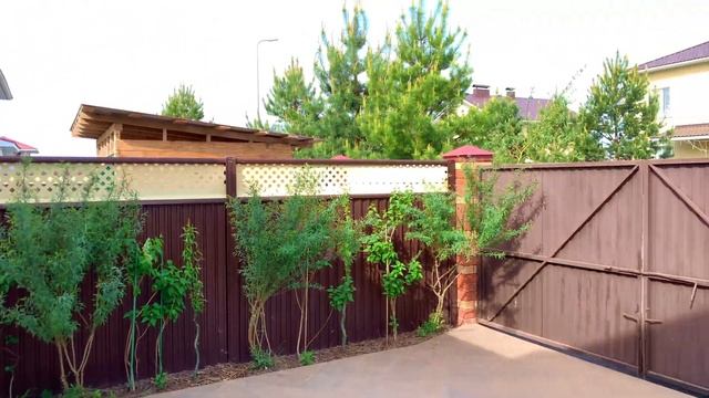 Самые ВОСХИТИТЕЛЬНО ПАХНУЩИЕ ЦВЕТЫ РОССТЕНИЯ В САДУ \ СИРЕНЬ , Гвоздика травянка смотреть онлайн