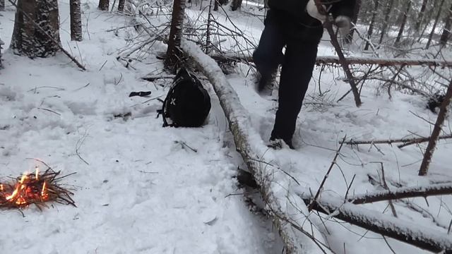 Поход в зимний лес. Поход выходного дня. Картошка с салом на углях... смотреть онлайн