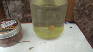 честный обзор на вафтерсы от ффем .