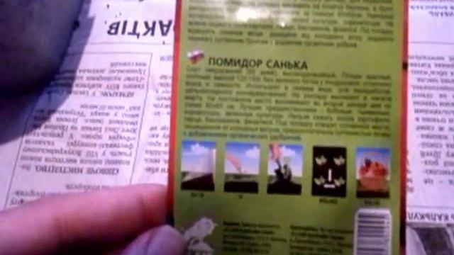 Сеем помидор Санька. смотреть онлайн