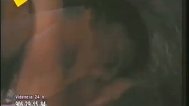 La Viuda De Blanco (1996)