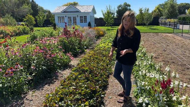 September Garden Tour - Part Two! 🌿🍂🥰 /// Garden Answer смотреть онлайн