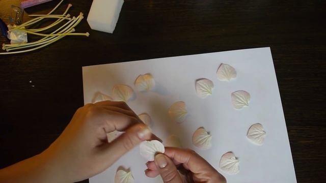 Гортензия из зефирного фоамирана. Часть 2 смотреть онлайн