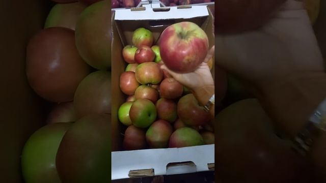 Айдаред 2 сорт смотреть онлайн