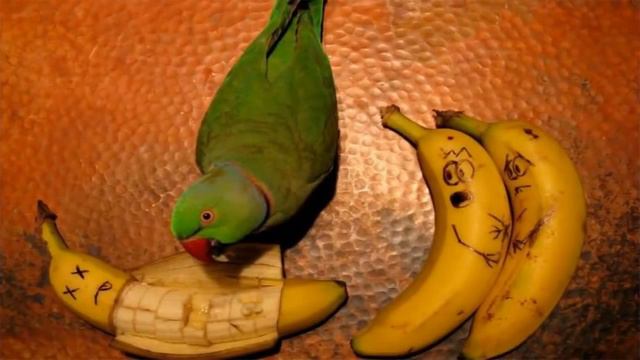 Как можно украсить любую даже самую страшную еду смотреть онлайн