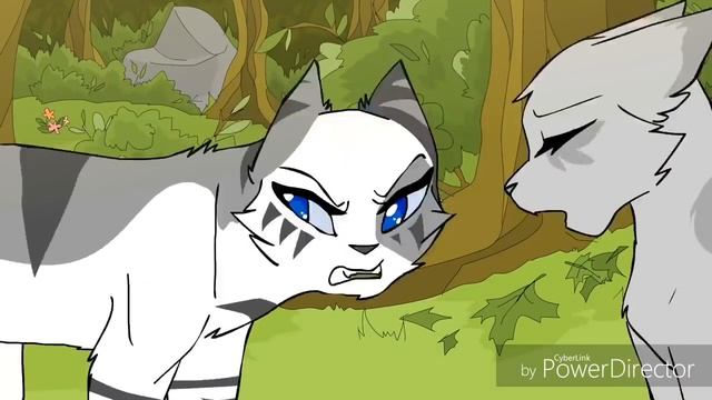 Warrior Cats~Dark Side