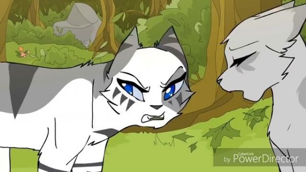 Warrior Cats~Dark Side