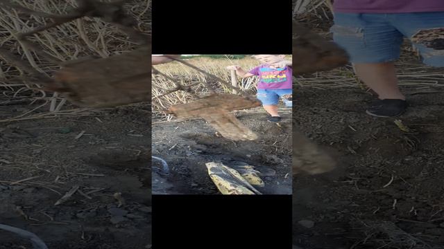 привет школе