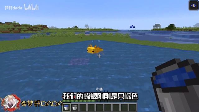 MC新版蝾螈正确打开方式？超稀有的紫色蝾螈！ смотреть онлайн