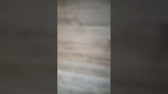 Ламинат на потолок и стены....