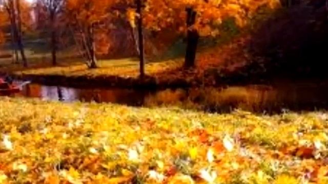 Золотая Осень смотреть онлайн