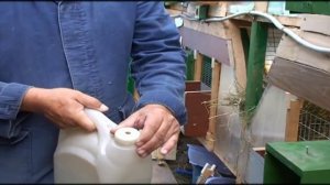 Кролики шед.ч.6