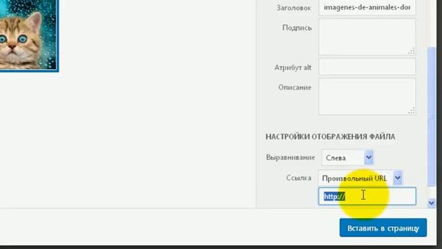 Обзор визуального редактора Worpress 4.7 смотреть онлайн