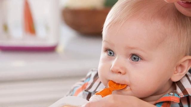Top 5 Best Baby Food Makers in 2021 смотреть онлайн