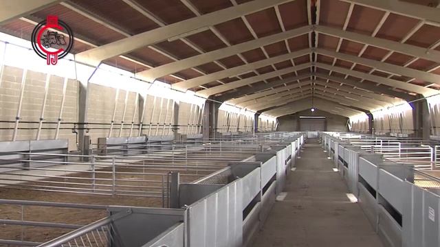 Cтанок для фиксации крс СТАНКИ фиксации КРС смотреть онлайн