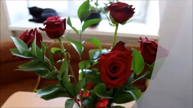 Секрет сохранения роз в вазе смотреть онлайн