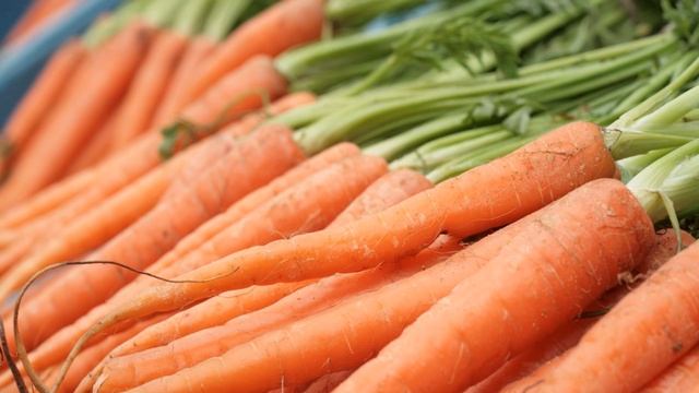 Морковь. Польза и вред для организма. смотреть онлайн