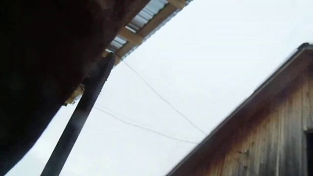 Обзор на дробилку для кедровых шишек. смотреть онлайн