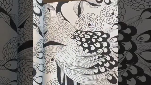J&V503 BOTANICAL 2 смотреть онлайн