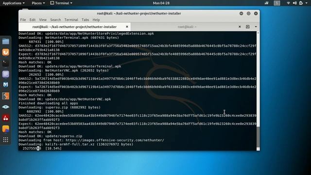 Build your Own Offline Kali Linux Net Hunter 2019.3 смотреть онлайн