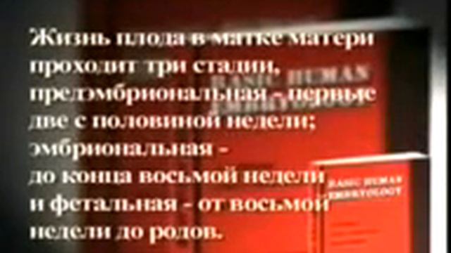 Сотворение человека смотреть онлайн