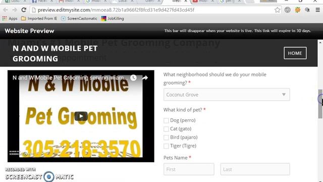 N & W Pet Grooming Website Build out and SEO for Miami смотреть онлайн