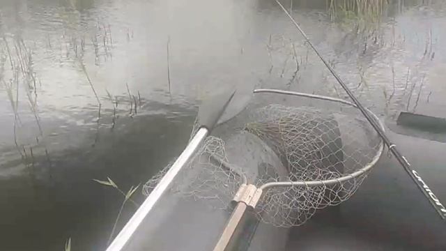 Ловля линя и карася в Беларуси, открытие! Мы вернулись!) смотреть онлайн