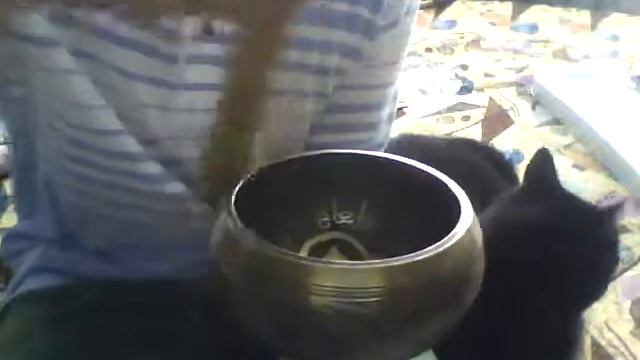 Чаша поющая литая Будда Майтрея 15см, (Непал); Singing Bowl 15cm cast Maitreya Buddha (Nepal) смотреть онлайн