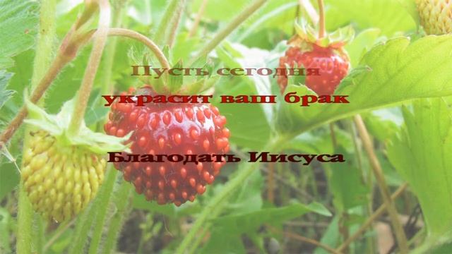 Как прекрасно поют соловьи христианское караоке смотреть онлайн