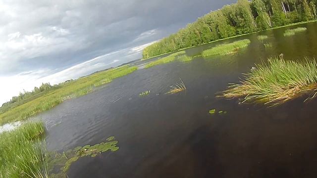 Ловля на поверхностные воблеры в ветреную погоду смотреть онлайн