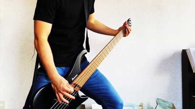 Slipknot - Get This || Bass Cover смотреть онлайн