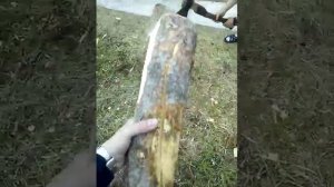 Правильная рубка дров!!!
