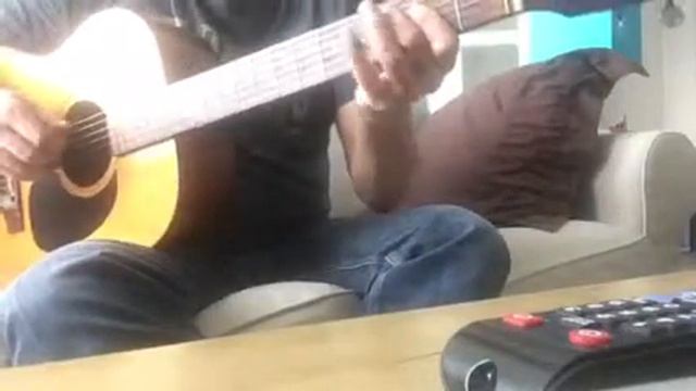 Blues in A+ fender American F15 смотреть онлайн